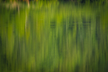 Vertical abstract blur of green and yellow hues reflected on water, creating a natural painterly effect resembling forest shadows and light.
