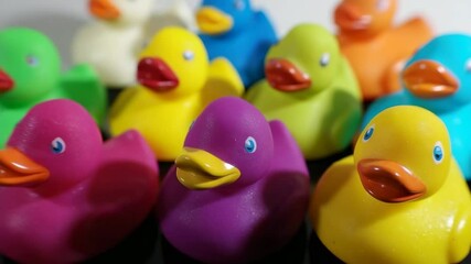 Colorful rubber ducks in various shades gather on a table during an afternoon playtime session