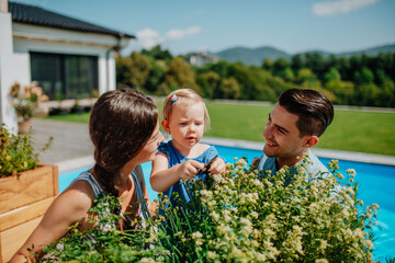 Young family taking care of plants in garden, spraying them with water.