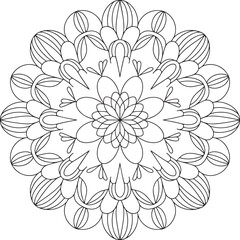 Intricate black outline mandala with floral petal patterns vector