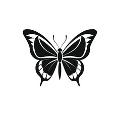 Butterfly with a black and white background, nice