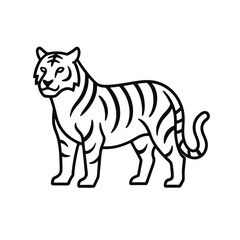 tiger on white background
