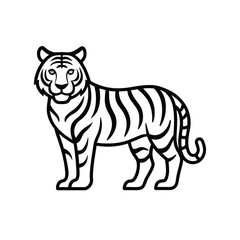 vector illustration of a tiger