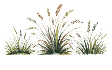 Hand-Drawn Lawn and Wild Grass Collection
