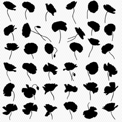 Black Silhouette Collection of Flower Head Illustrations for Arts, Decoration and Botanical Elements