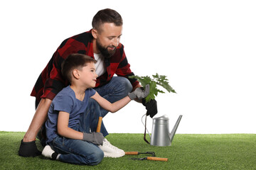 Father and his son planting tree into ground on white background