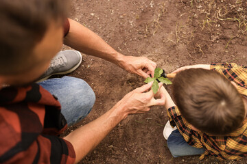 Father and his son planting tree into soil outdoors, above view