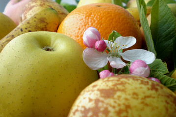 Fruit, a food that is often forgotten, is essential for good nutrition