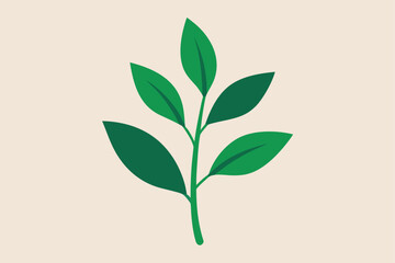 green leaves on white background