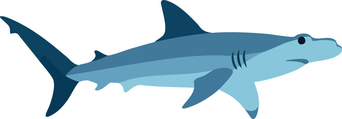 Fototapeta premium Hammerhead shark vector illustration in blue shades swimming underwater ocean animal design