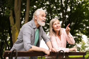 Lovely senior couple near wooden bench in park
