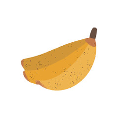 Banana hand drawn in watercolor style. Clipart, fruit isolated on white background.	
