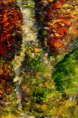 The illustration, in vertical frame, of the phenomena of refraction and reflection on moving water