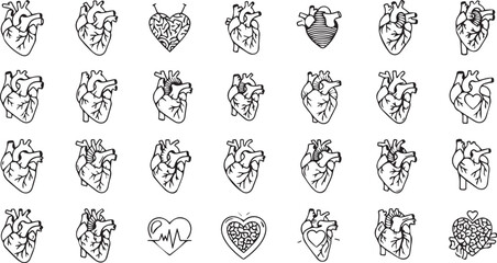Human heart line icon vector on a white background