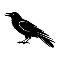 Stylized Raven Crow Bird Vector Illustration