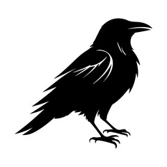 Stylized Raven Crow Bird Vector Illustration