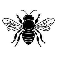 Classic Honey Bee Insect Top View Vector