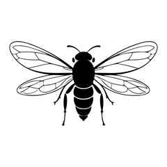 Flying Honey Bee Insect Vector Illustration