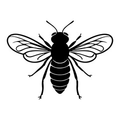Flying Honey Bee Insect Vector Illustration