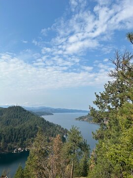 View of Idaho lake in between the trees