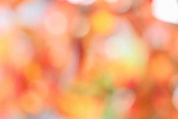 ハナミズキの紅葉のアウトフォーカス