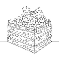 Wooden crate of freshly picked grapes isolated on transparent background  