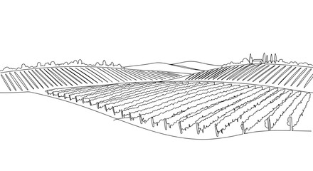 Vineyard landscape with rolling hills in minimalist line art style  