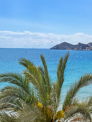 Tropical palm trees frame a serene beach scene with clear turquoise waters, distant rocky hills, and a bright blue sky, creating a tranquil coastal atmosphere