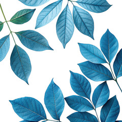 Blue leaves patterned arrangement isolated on transparent background