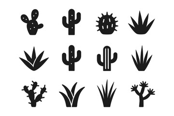 Fototapeta premium Silhouette set of various cactus and succulent icons for design