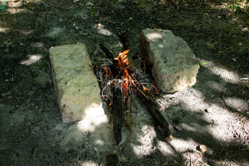 Bonfire with burning firewood in forest