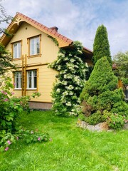 Side view of traditional Finnish farmhouse with blooming flowers and trees in peaceful countryside setting