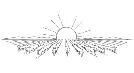 Sun setting over vineyard with outlined rows and mountains 