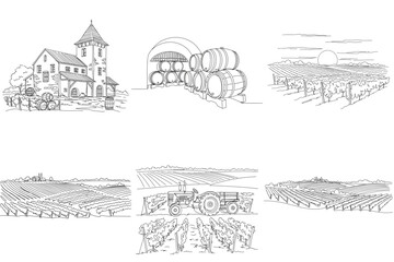 Set of vineyard and winery scenes in sketch style on transparent background 