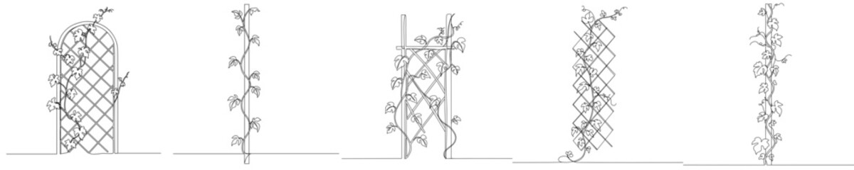 Vine growing on trellis with multiple designs isolated on transparent background  