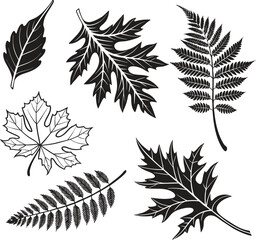 Black and White Leaf Silhouettes