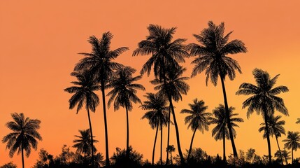 Obraz premium Silhouette of coconut palm trees against the orange sunset sky, illustration. tropical summer sunrise landscape, paradise travel evening, vacation holiday coast dusk twilight sundown.