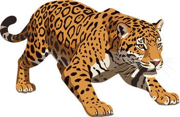 Obraz premium Stalking Jaguar (Panthera onca): Vector Illustration of a Stealthy Feline Ready to Pounce