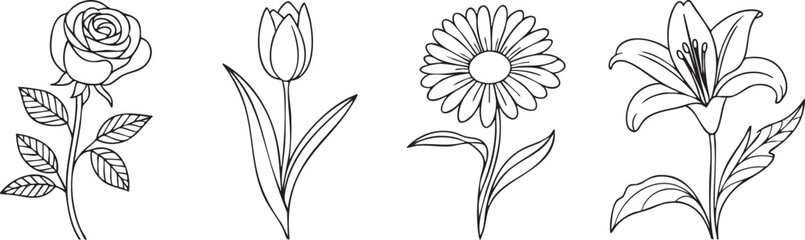 Collection of delicate flower line drawings silhouette