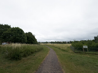 Rural landscape of Wiltshire in the UK.