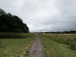 Obraz premium Rural landscape of Wiltshire in the UK.