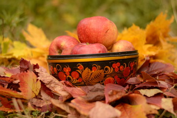 Organic apples in basket in summer grass.