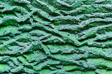 tło z kory starego popękanego drzewa