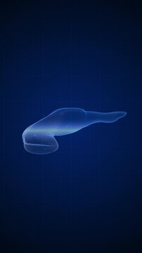 Human pancreas scan medical concept
