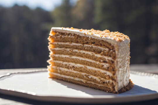 a decadent slice of medovik  honey cake