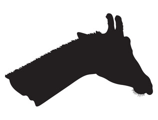 GIRAFFE SILHOUETTE