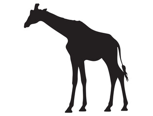 GIRAFFE SILHOUETTE