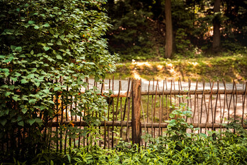 Wooden fence surrounded by greenery in a peaceful forest setting during a sunny afternoon