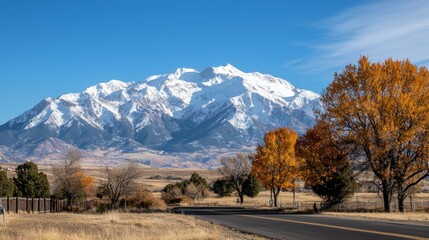 Snow-capped mountains and autumn trees along a rural road