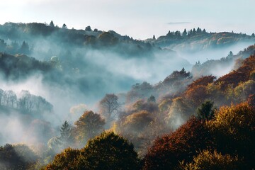 A breathtaking autumn landscape featuring a misty forest with colorful foliage covering rolling hills and valleys under a soft, diffused light.